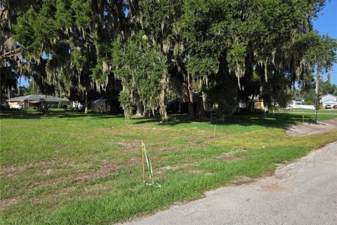 Land in Yalaha, Florida № 2210589 - photo 17