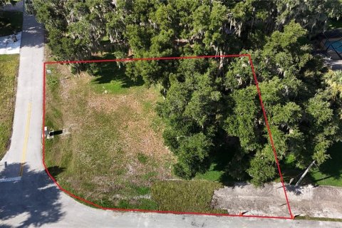 Land in Yalaha, Florida № 2210589 - photo 3