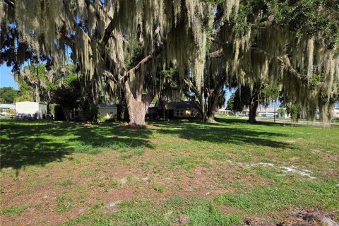 Land in Yalaha, Florida № 2210589 - photo 14