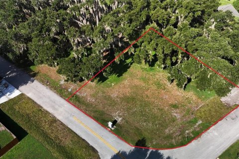 Land in Yalaha, Florida № 2210589 - photo 7