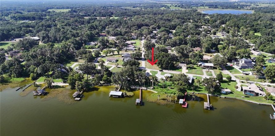 Land in Yalaha, Florida № 2210589