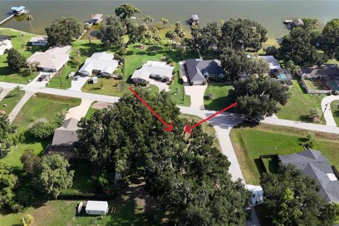 Land in Yalaha, Florida № 2210589 - photo 9