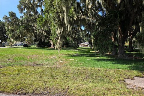 Land in Yalaha, Florida № 2210589 - photo 20