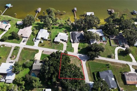 Land in Yalaha, Florida № 2210589 - photo 10