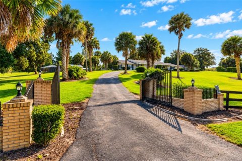 Villa ou maison à vendre à Micanopy, Floride: 5 chambres, 327.76 m2 № 2406307 - photo 30