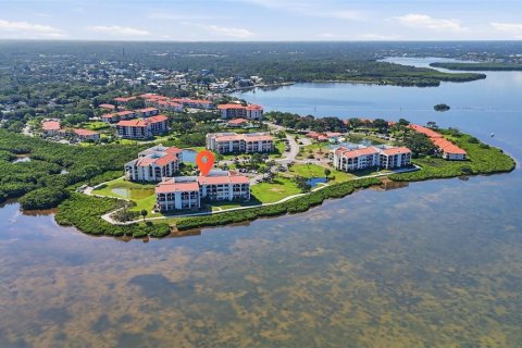 Condo à Tarpon Springs, Floride, 2 chambres  № 2133900