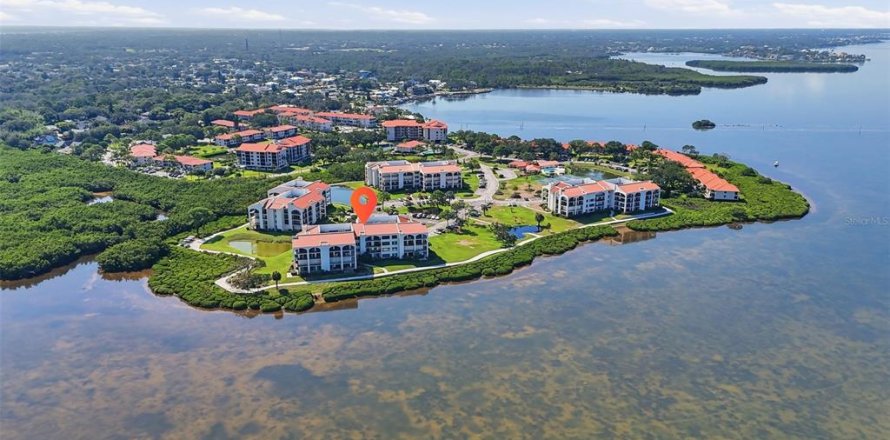 Condo in Tarpon Springs, Florida, 2 bedrooms  № 2133900