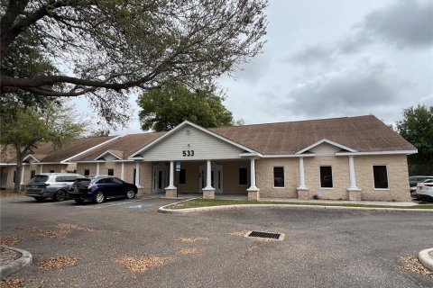 Propiedad comercial en alquiler en Brandon, Florida, 394.28 m2 № 1062887 - foto 1