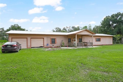 Villa ou maison à vendre à Ona, Floride: 4 chambres, 240.8 m2 № 1391430 - photo 1