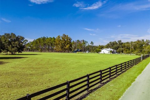 Land in Fish Hawk, Florida № 2100988 - photo 8
