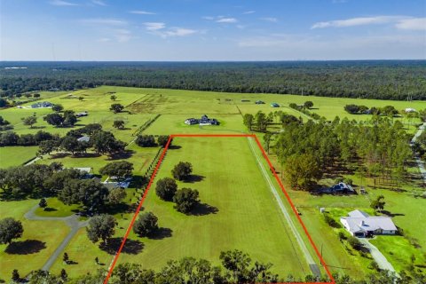 Land in Fish Hawk, Florida № 2100988 - photo 3