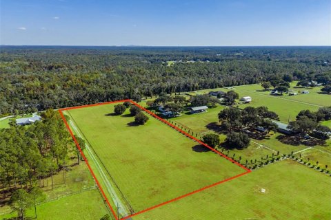 Land in Fish Hawk, Florida № 2100988 - photo 6