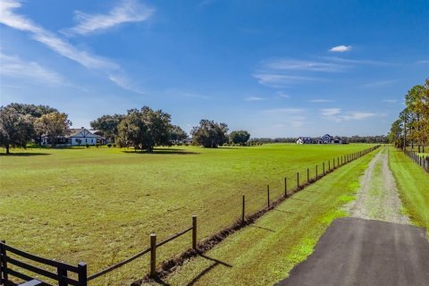 Land in Fish Hawk, Florida № 2100988 - photo 9