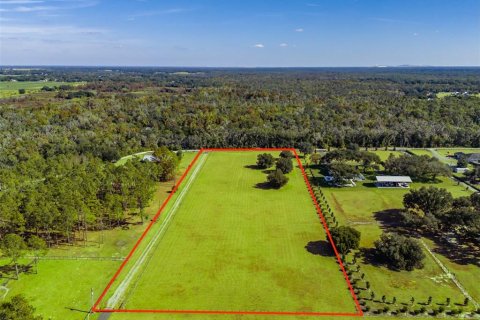 Land in Fish Hawk, Florida № 2100988