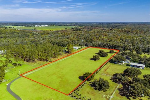Land in Fish Hawk, Florida № 2100988 - photo 2