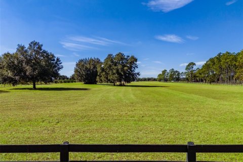 Land in Fish Hawk, Florida № 2100988 - photo 7