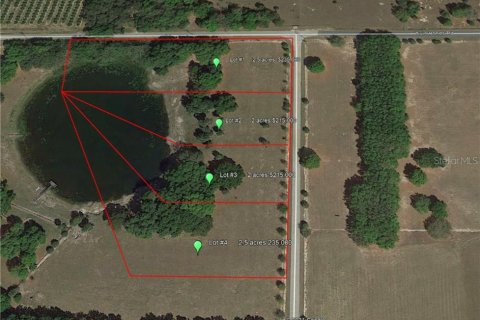 Land in Umatilla, Florida № 213739 - photo 1