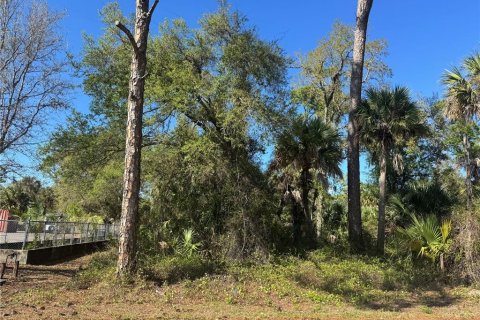 Land in Port Charlotte, Florida № 2384400 - photo 6