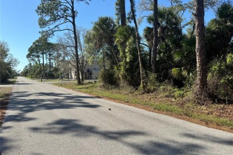 Land in Port Charlotte, Florida № 2384400 - photo 5