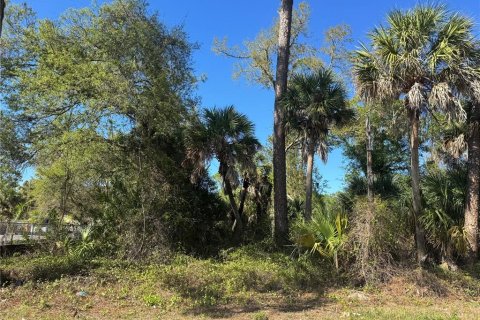 Land in Port Charlotte, Florida № 2384400 - photo 3