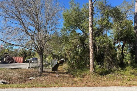 Land in Port Charlotte, Florida № 2384400