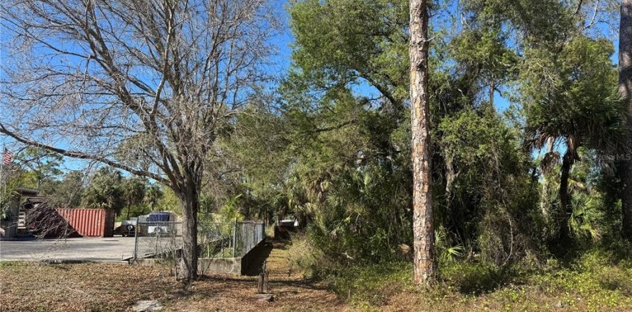Land in Port Charlotte, Florida № 2384400