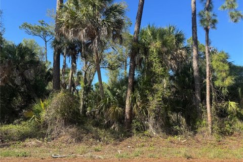 Land in Port Charlotte, Florida № 2384400 - photo 7