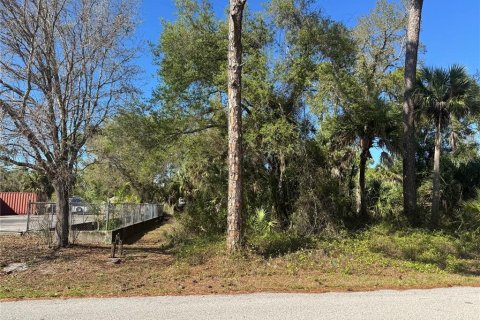 Land in Port Charlotte, Florida № 2384400 - photo 2