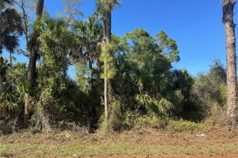 Land in Port Charlotte, Florida № 2384400 - photo 8