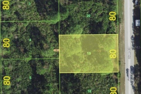 Land in Port Charlotte, Florida № 2165333 - photo 2