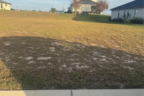 Terrain à vendre à Auburndale, Floride № 1559079 - photo 6