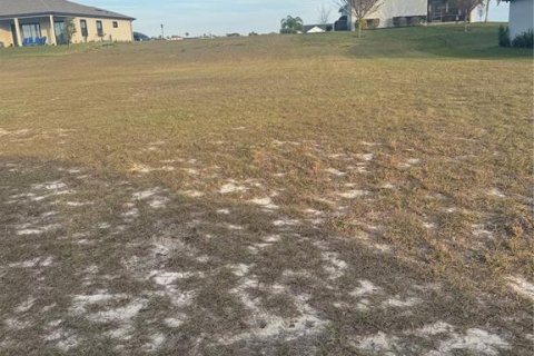 Terrain à vendre à Auburndale, Floride № 1559079 - photo 5