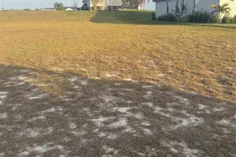 Terrain à vendre à Auburndale, Floride № 1559079 - photo 4