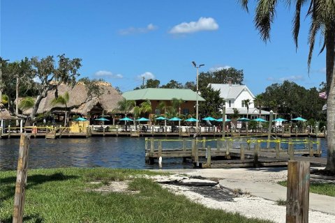 House in Homosassa, Florida 4 bedrooms, 227.24 sq.m. № 1750007 - photo 26