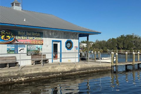 House in Homosassa, Florida 4 bedrooms, 227.24 sq.m. № 1750007 - photo 30