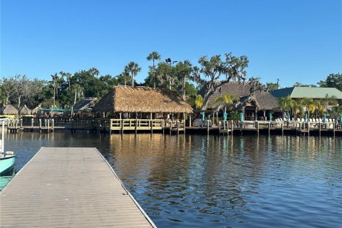 House in Homosassa, Florida 4 bedrooms, 227.24 sq.m. № 1750007 - photo 28