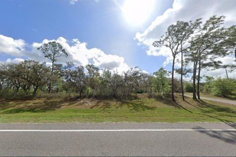Land in Polk City, Florida № 2158905 - photo 2