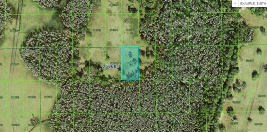 Land in Polk City, Florida № 2158905