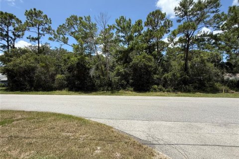 Terrain à Deltona, Floride № 2167790