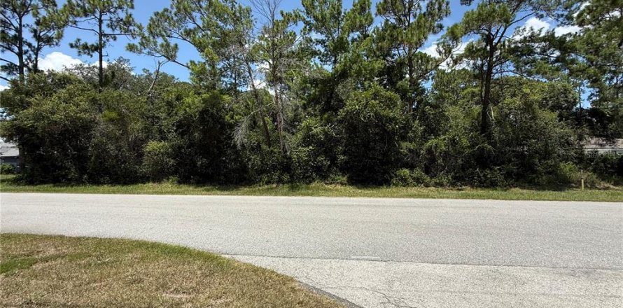 Terrain à Deltona, Floride № 2167790