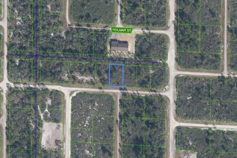 Land in Lake Placid, Florida № 2163673 - photo 2