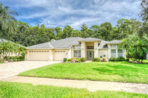 House in Palm Harbor, Florida 4 bedrooms, 271.46 sq.m. № 1900129 - photo 1