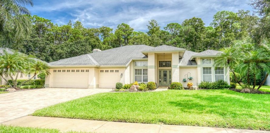 Villa ou maison à Palm Harbor, Floride 4 chambres, 271.46 m2 № 1900129