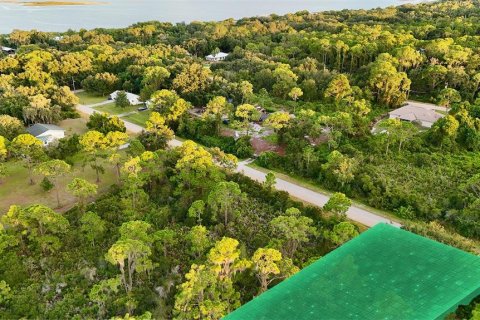 Land in Lake Placid, Florida № 2232721 - photo 6
