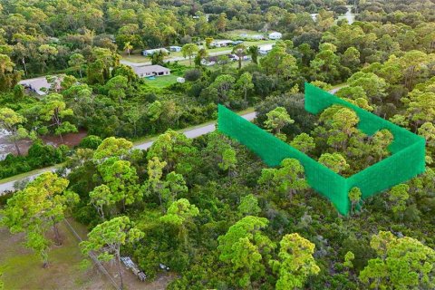 Land in Lake Placid, Florida № 2232721 - photo 3