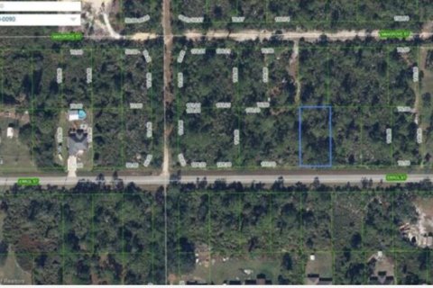 Land in Lake Placid, Florida № 2232721 - photo 12