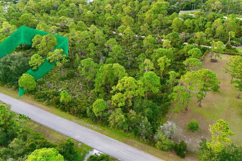 Land in Lake Placid, Florida № 2232721 - photo 10