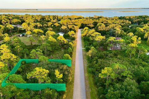 Land in Lake Placid, Florida № 2232721 - photo 2