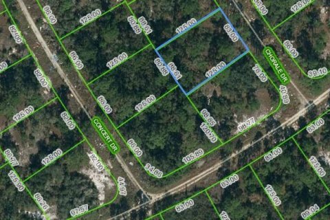 Land in Lake Placid, Florida № 2213028