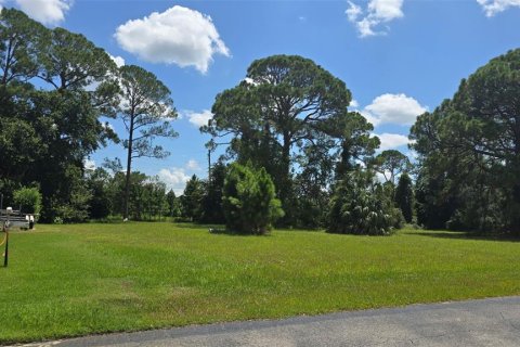 Terrain à DeBary, Floride № 2345046